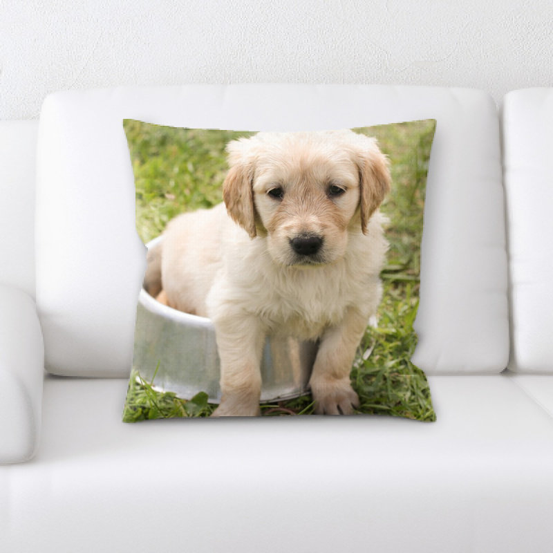 Coussin chiot