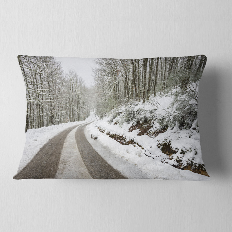 Coussin Schafer