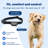 PetSafe Rechargeable In-Ground Fence Receiver Collar