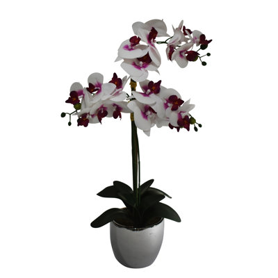 Real Touch Orchid Arrangement In Metallic Silver Vase