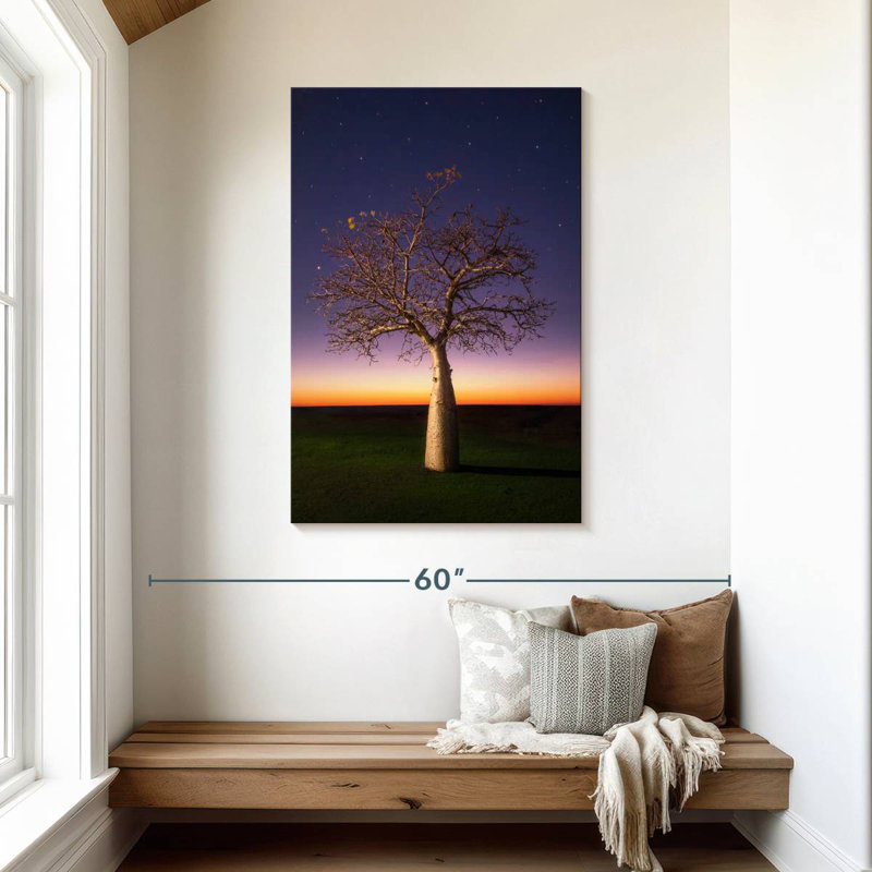Starry Sky Boab, 45" H x 30" W