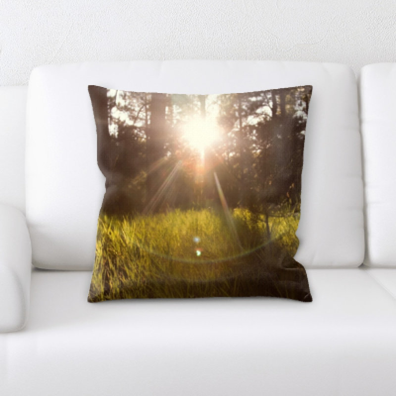 Microsuede Throw Pillow