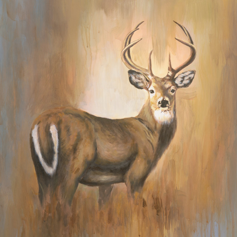 Painted White-Tailed Deer - Wrapped Canvas Painting, 51cm H x 51cm W x 3.8cm D