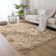 Alaunna Standard Shag Area Rug