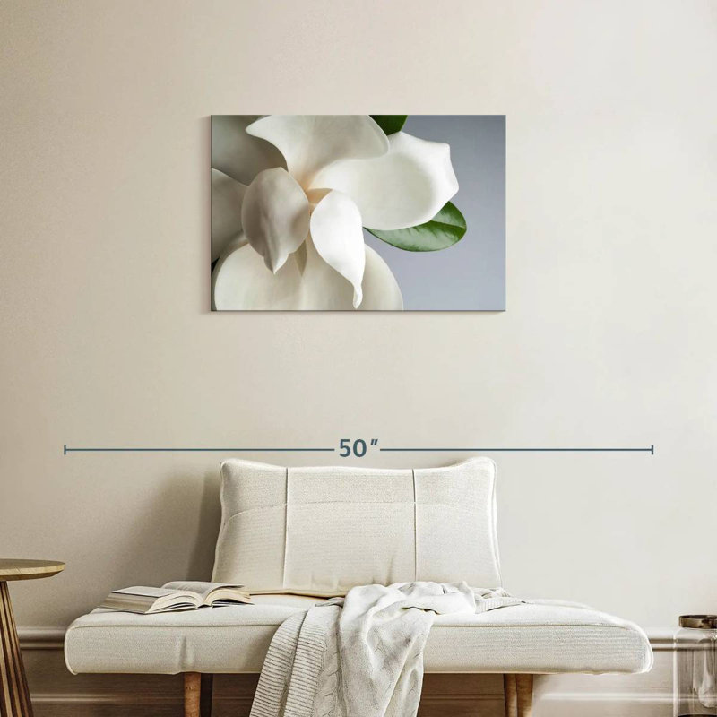 Magnolia blanc Harnek, H 20 po x l 30 po