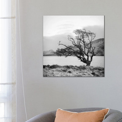 Connemara Tree I by Geoffrey Ansel Agrons - Wrapped Canvas Print