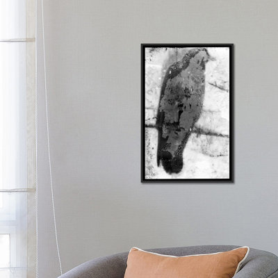 « b&w flight ix », reproduction sur toile