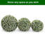 Plant-2090936248-2090936255
