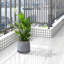 Ensemble de 2 jardinières d'extérieur, pot à fleurs avec trou de drainage pour l'intérieur et l'extérieur-676677177