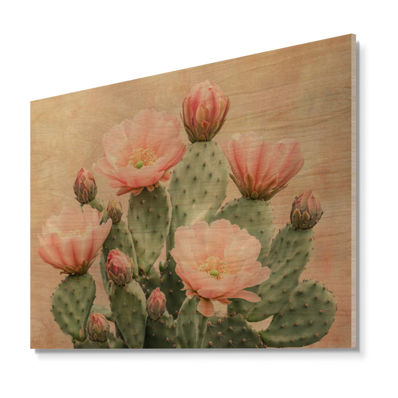 Décoration murale Blush Desert Bloom II - Bois botanique, H 18 po x l 24 po, Rectangulaire
