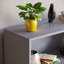 142cm H x 60cm W Standard Bookcase-70966729-70966730
