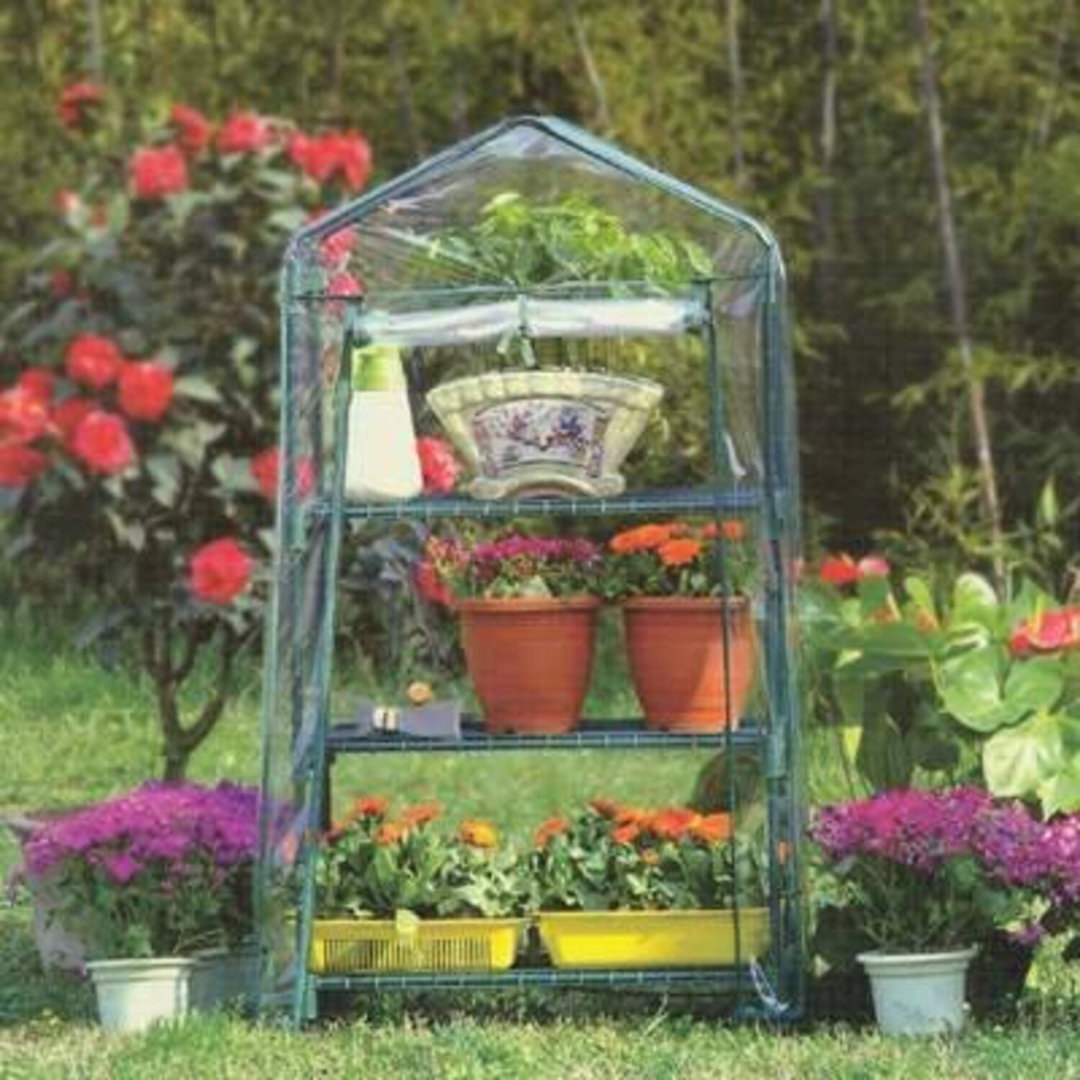 Bushton 1.5 Ft W x 0.1 Ft D Mini Greenhouse
