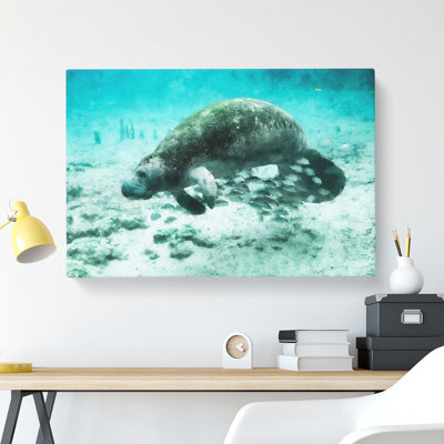 Manatee Painting - Wrapped Canvas