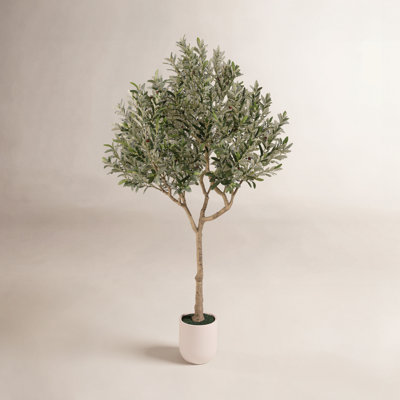 Ashwell Faux Olive Tree