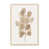 Cadre ouvert en érable brut n'est pas disponible