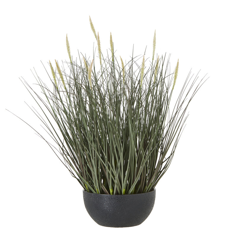 Faux Plant in Pot, 50cm H x 50cm W x 50cm D