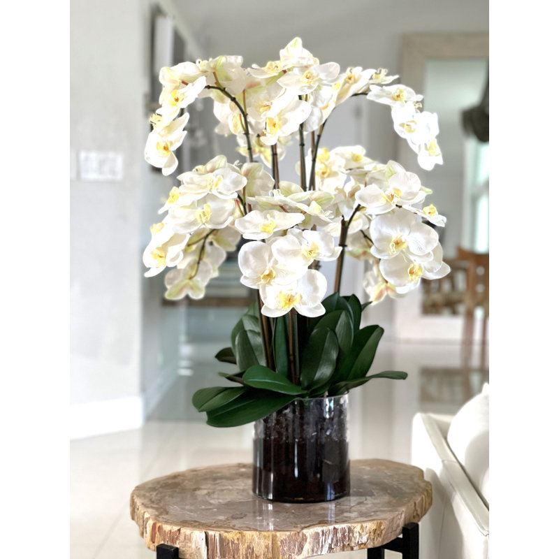 Blooming Orchid in Vase, Green