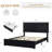 Queen Bed – 2 Drawers, Black Velvet Upholstered-1804341348-1804341370