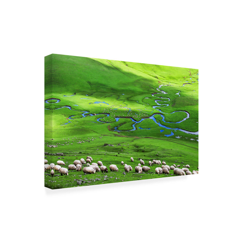 Art sur toile, plateau d'Uzumcu, H 12 po x l 19 po