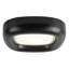 Folio 15-in Black dimmable LED Flush Mount-474215826