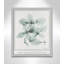 Basil Ocimum Basicicum by Albert Koetsier-88318172-88318171