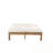 Adjustable Backrest Double Chaise Lounge with Thick Cushions-1308019614
