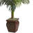 53'' Faux Palm Tree in Wood Decorative Vase
