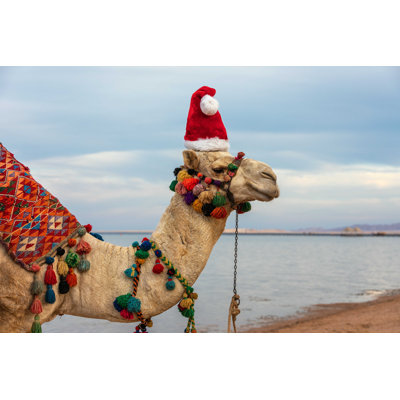" Camel In Santa Claus Hat " by Smiltena
