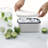 Lékué Ice Box-1504799488
