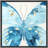 Blue Butterfly-102480444-102480445