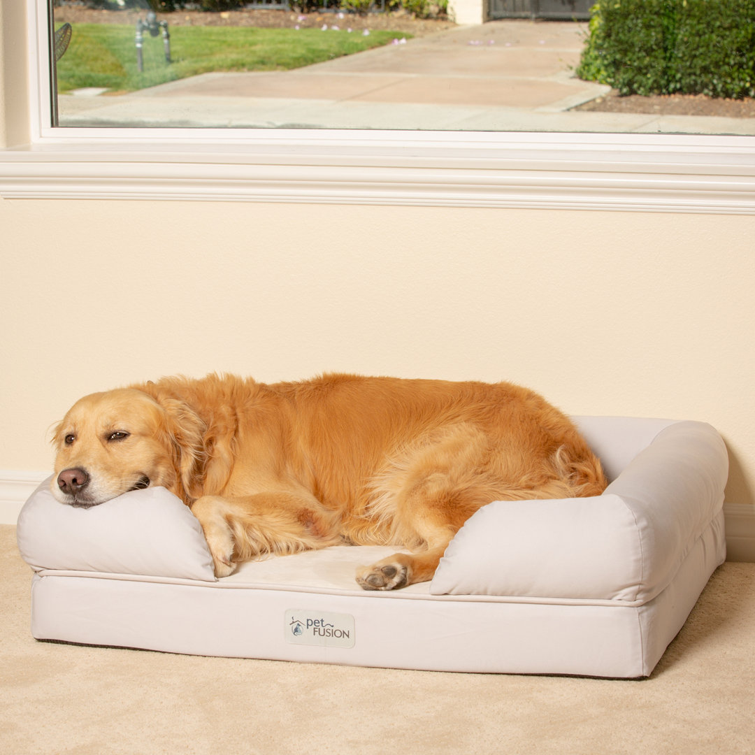 Orthopedic Polyester Pet Bed PetFusion Color: Sandstone Size: Extra Large (44" W x 34" D x 10" H)
