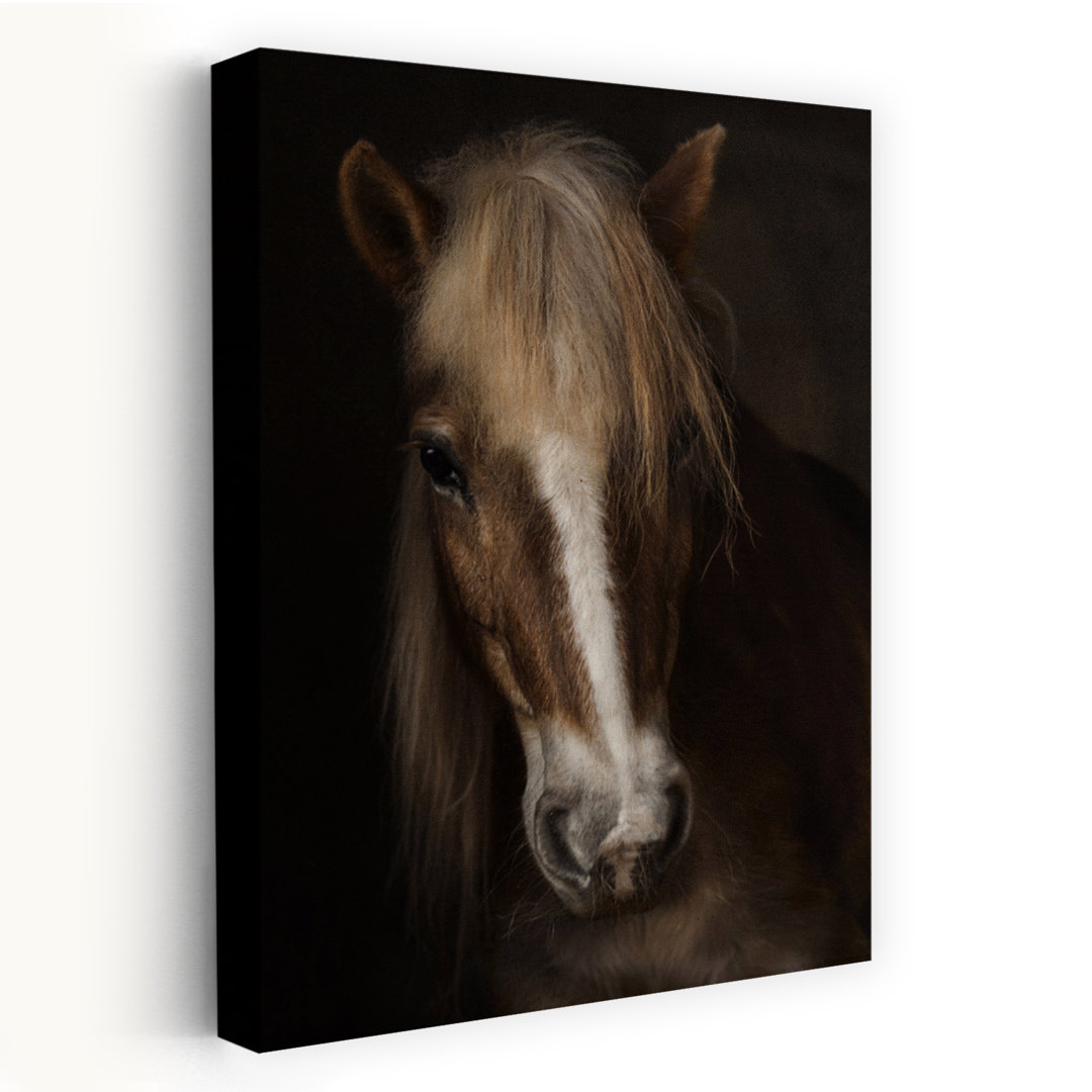 Majestic Horse Portrait Contemporary Horse Architecture Wall Art Print