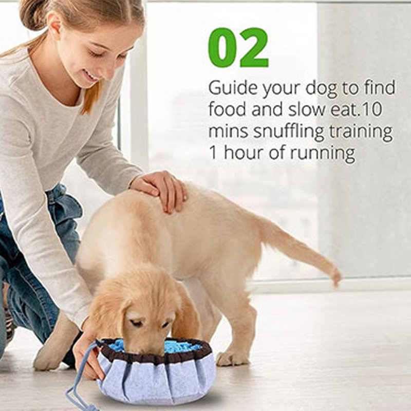 Pet Snuffle Mat Interactive Feed Puzzle, Blue