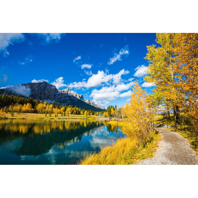 Autumn Aspens Reflection by Kavram - Wrapped Canvas Print, 30cm H x 46cm W x 3.8cm D