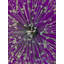 Lustre en cristal luxueux 47 po-388732070