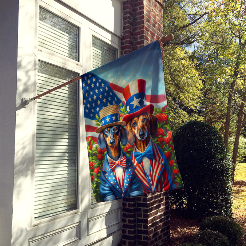 Drapeau «All American House», Teckel