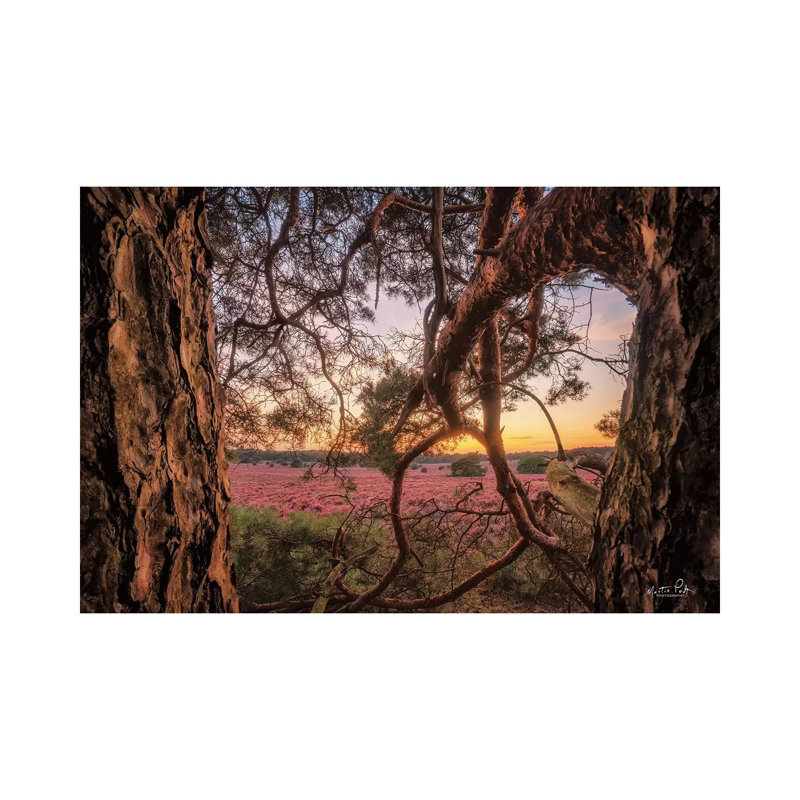 In Between by Martin Podt - Wrapped Canvas Print, 66.04 cm H x 45.72 cm W x 1.91 cm D