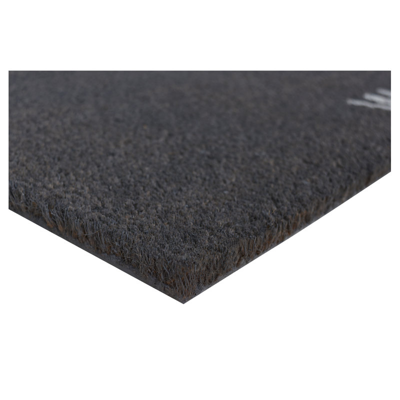 Tapis d'entrée antidérapant Kasper, L 24 po x L 36 po, gris