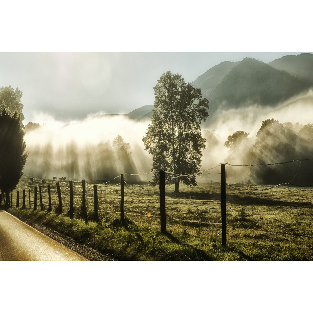 Leinwandbild Sunrise in Cades Cove