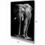 «African Elephant in Black Artwork», reproduction d'impression-29496716