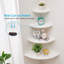 Ruzmira Wood Floating Shelf-701911777-701911783