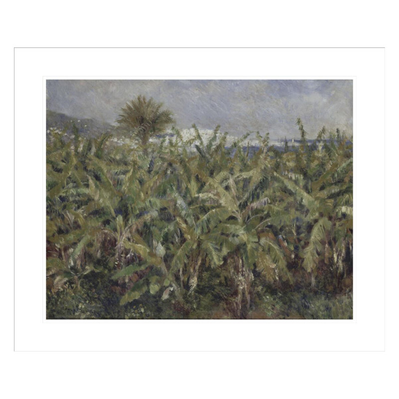 «Field of Banana Trees» par Pierre-Auguste Renoir, impression giclée sur cadre, H 23,5 po x l 28,26 po