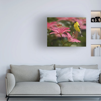 Jeff Hoff Gold And Pink Lilies Canvas Art