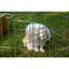 Weather Resistant Small Animal Cage
