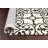 Oriental Indoor Rug
