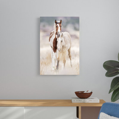 Collection de chevaux X