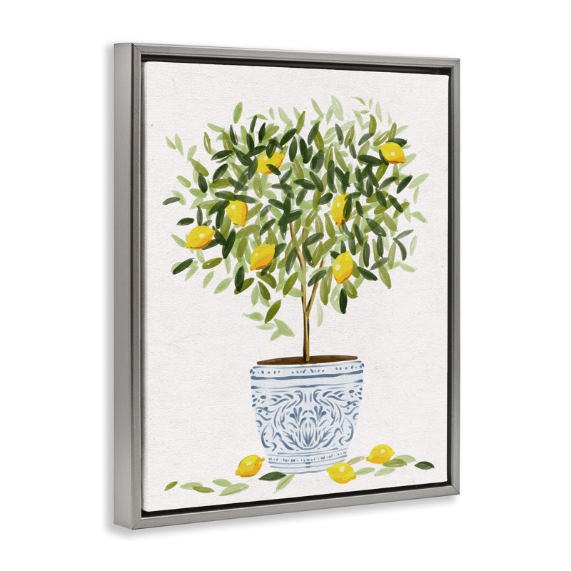 Pot à fleurs Lemon Tree, H 31 po x l 25 po, Cadre flottant gris lustré