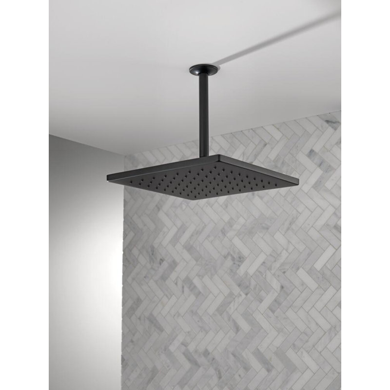Delta Rain Adjustable Shower Head, Matte Black