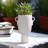 White Ceramic Vase with Handles-1183885163