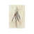 Image Brush Gel